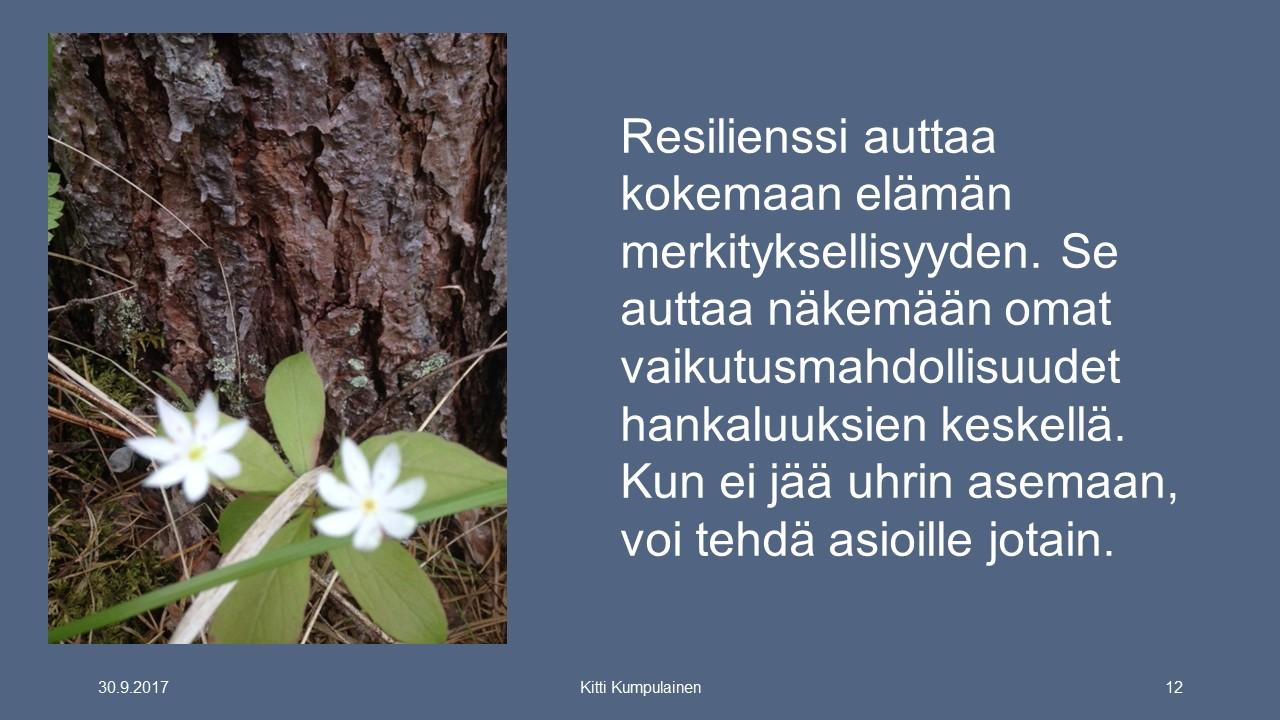 Resilienssi PP
